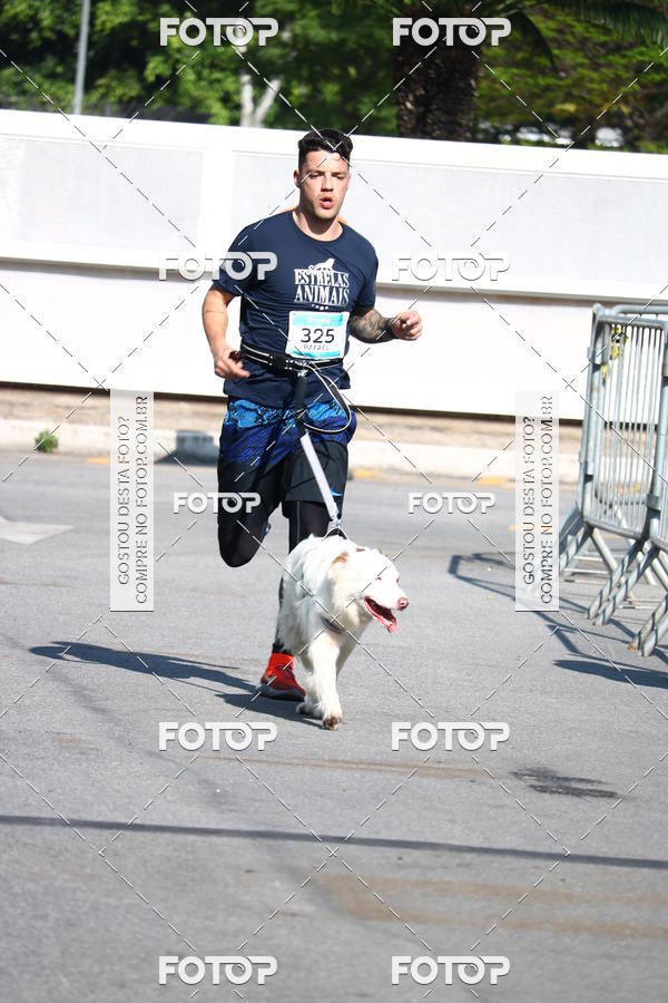 Buy your photos of the event2 Pet Run Shopping Eldorado  on Fotop