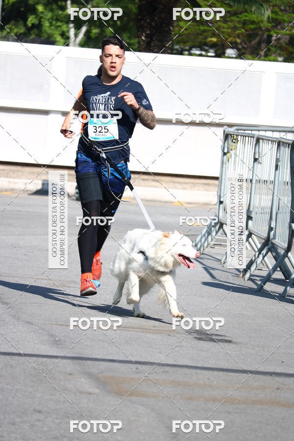 Buy your photos of the event2 Pet Run Shopping Eldorado  on Fotop
