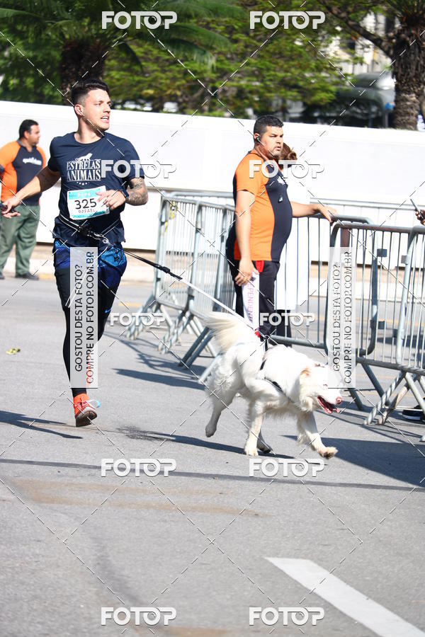 Buy your photos of the event2 Pet Run Shopping Eldorado  on Fotop