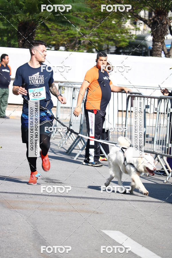 Buy your photos of the event2 Pet Run Shopping Eldorado  on Fotop