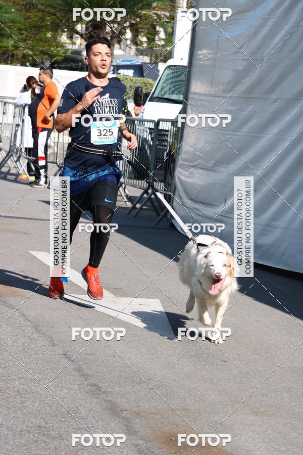 Buy your photos of the event2 Pet Run Shopping Eldorado  on Fotop