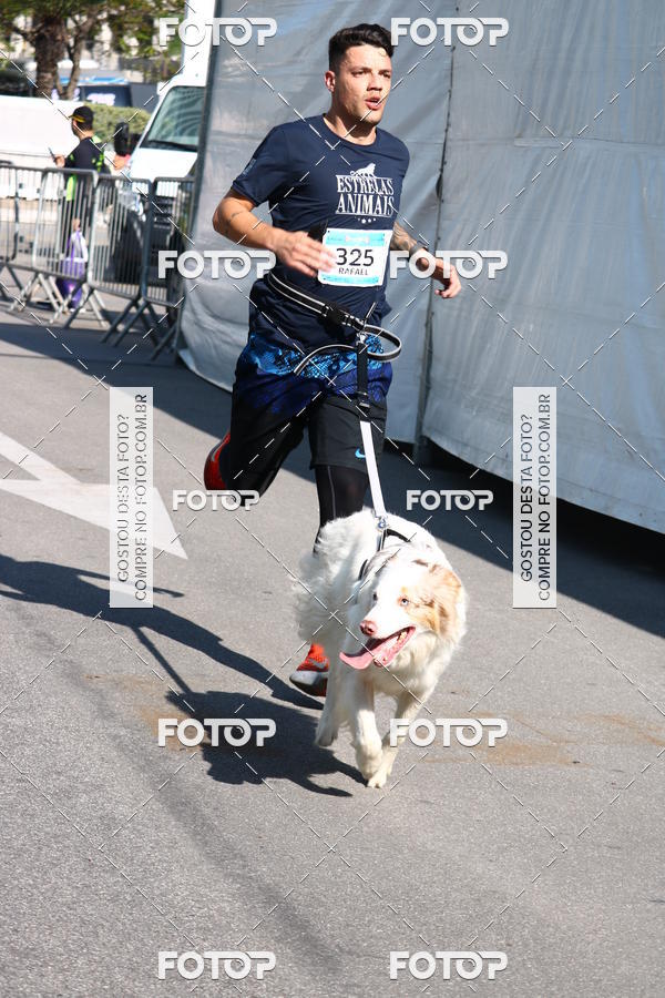 Buy your photos of the event2 Pet Run Shopping Eldorado  on Fotop