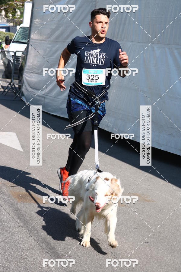 Buy your photos of the event2 Pet Run Shopping Eldorado  on Fotop