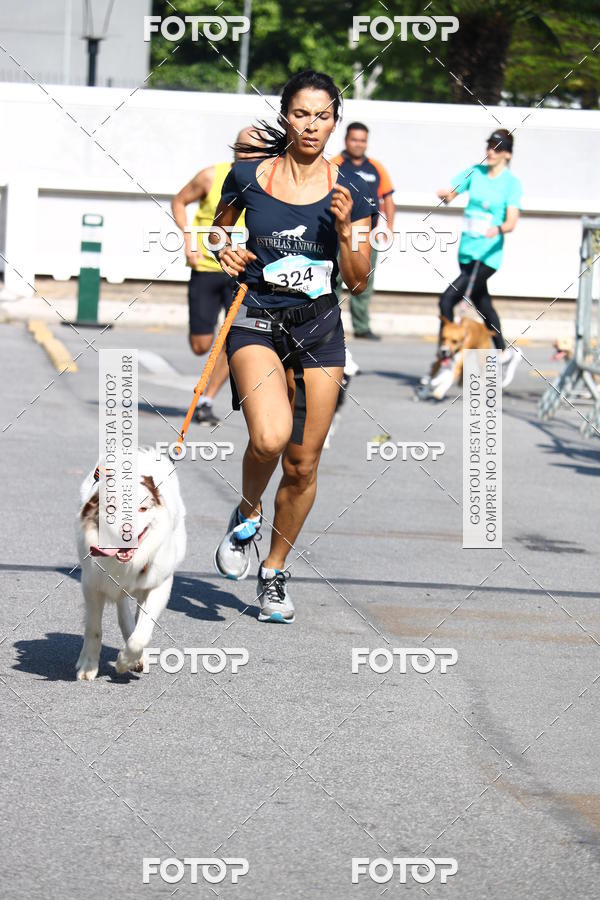 Buy your photos of the event2 Pet Run Shopping Eldorado  on Fotop