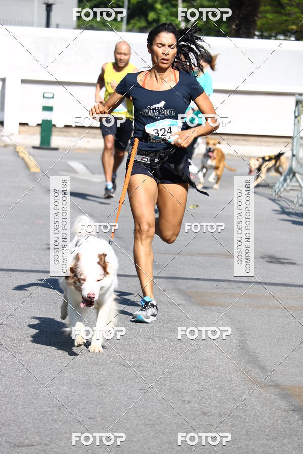 Buy your photos of the event2 Pet Run Shopping Eldorado  on Fotop