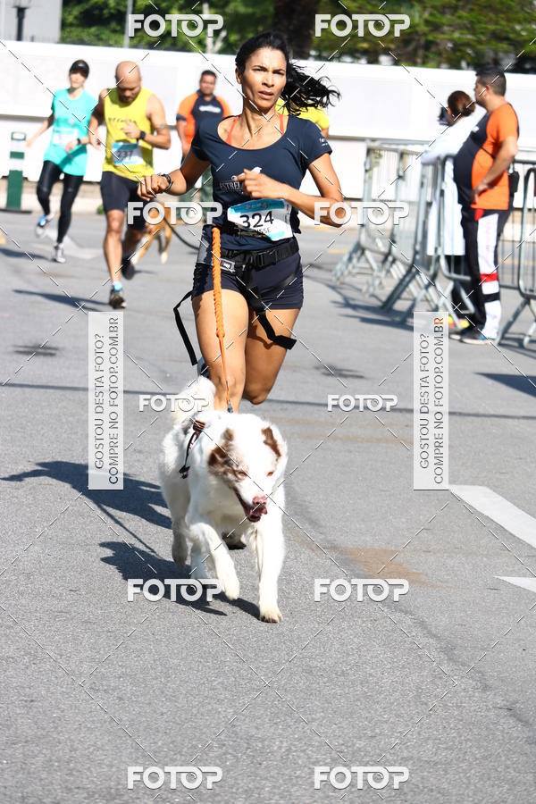 Buy your photos of the event2 Pet Run Shopping Eldorado  on Fotop