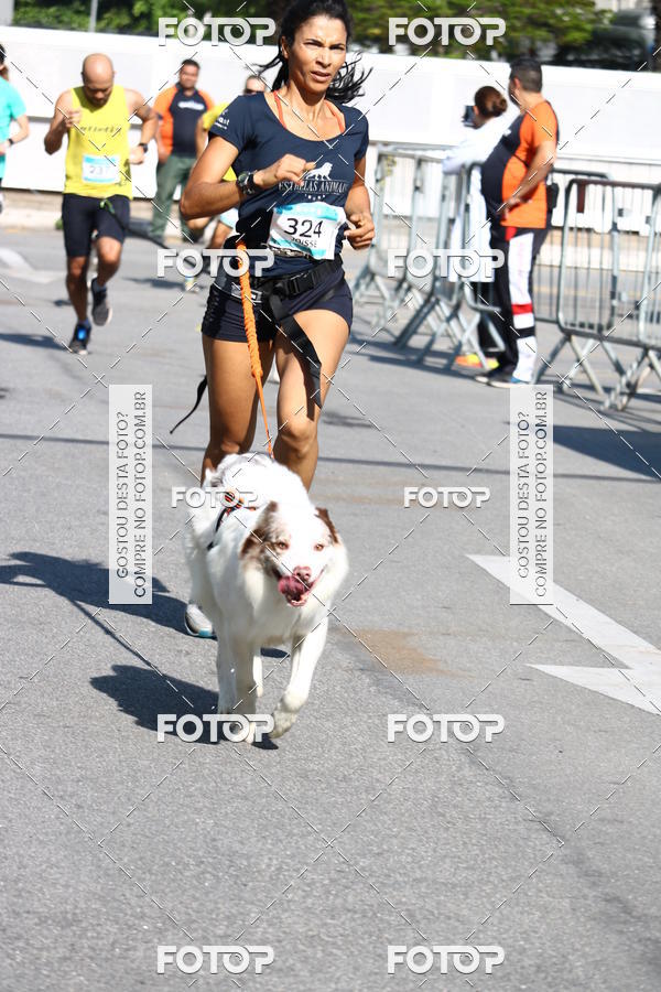 Buy your photos of the event2 Pet Run Shopping Eldorado  on Fotop
