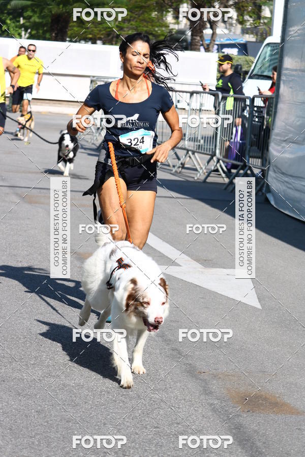 Buy your photos of the event2 Pet Run Shopping Eldorado  on Fotop