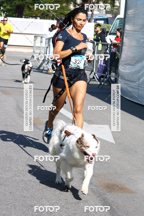 Buy your photos of the event2 Pet Run Shopping Eldorado  on Fotop