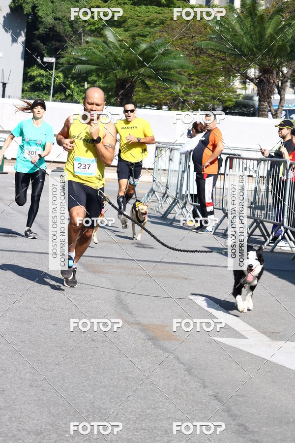 Buy your photos of the event2 Pet Run Shopping Eldorado  on Fotop