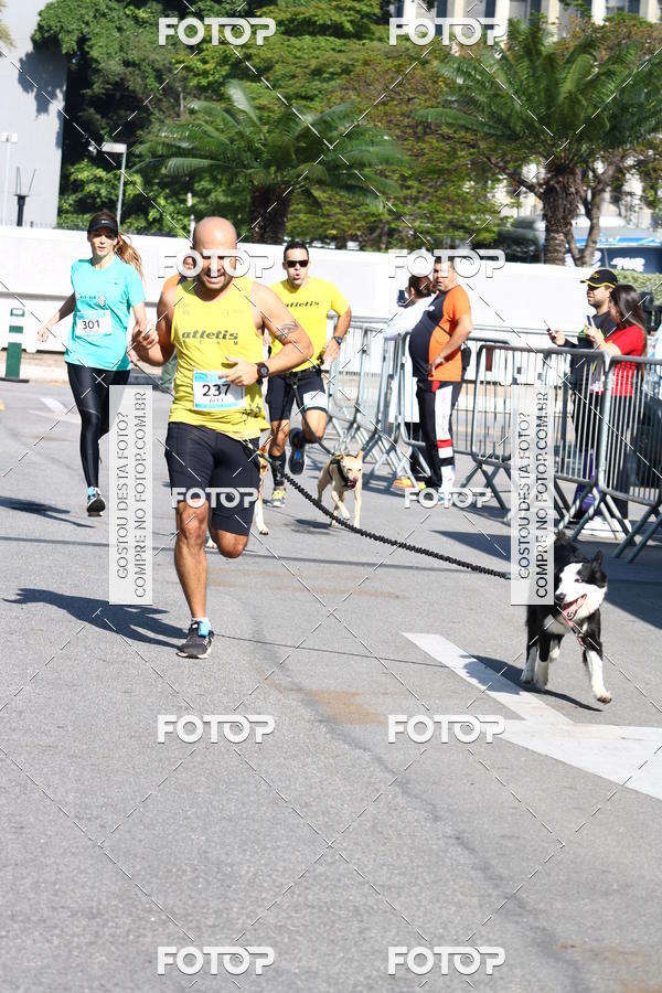 Buy your photos of the event2 Pet Run Shopping Eldorado  on Fotop