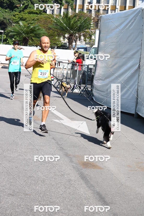 Buy your photos of the event2 Pet Run Shopping Eldorado  on Fotop
