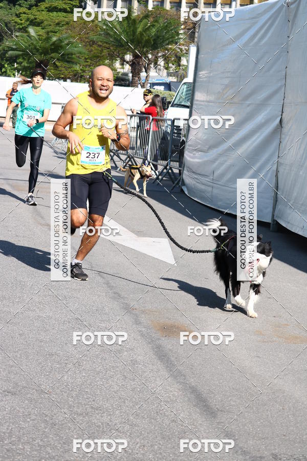 Buy your photos of the event2 Pet Run Shopping Eldorado  on Fotop