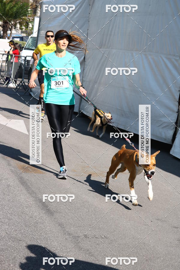 Buy your photos of the event2 Pet Run Shopping Eldorado  on Fotop