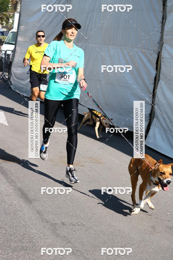 Buy your photos of the event2 Pet Run Shopping Eldorado  on Fotop