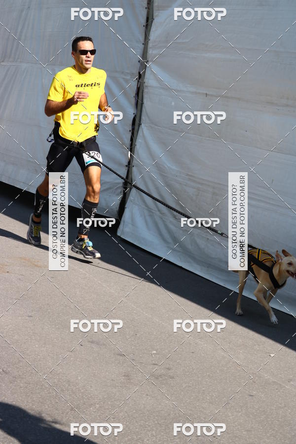 Buy your photos of the event2 Pet Run Shopping Eldorado  on Fotop