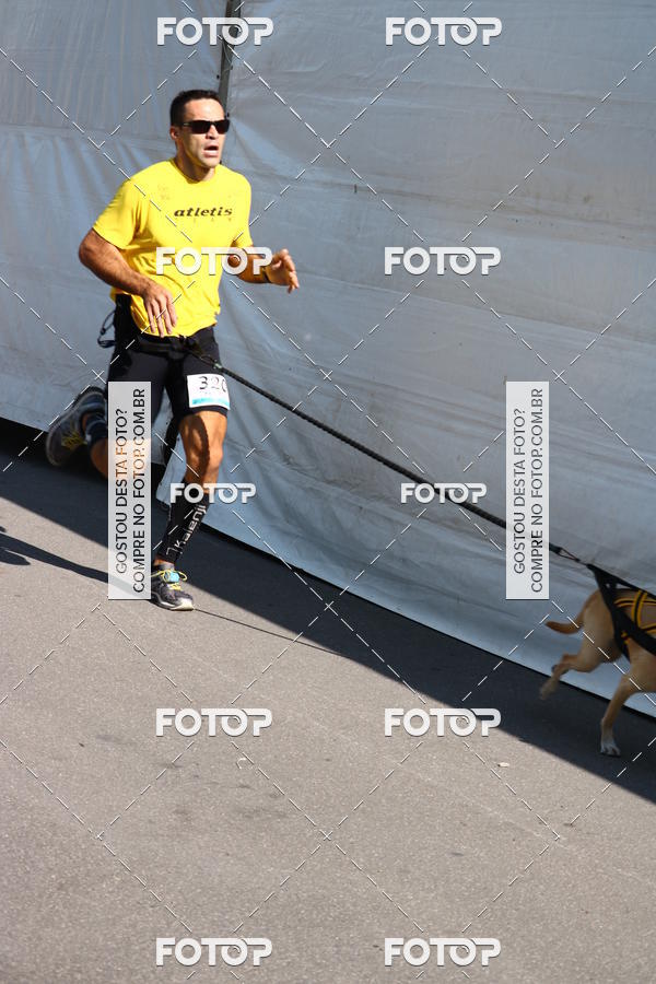 Buy your photos of the event2 Pet Run Shopping Eldorado  on Fotop