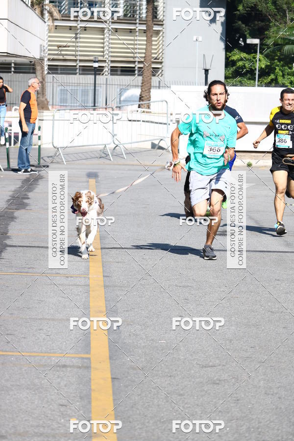 Buy your photos of the event2 Pet Run Shopping Eldorado  on Fotop