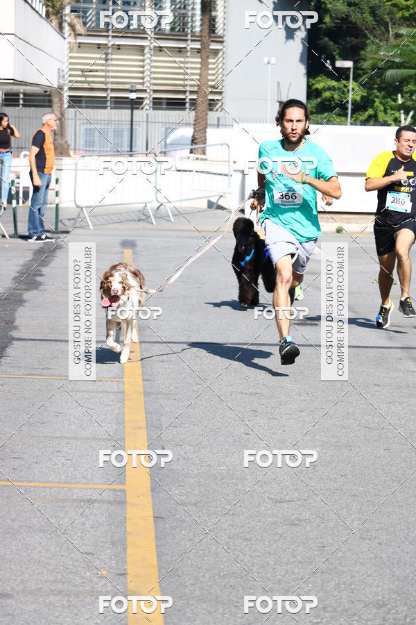 Buy your photos of the event2 Pet Run Shopping Eldorado  on Fotop
