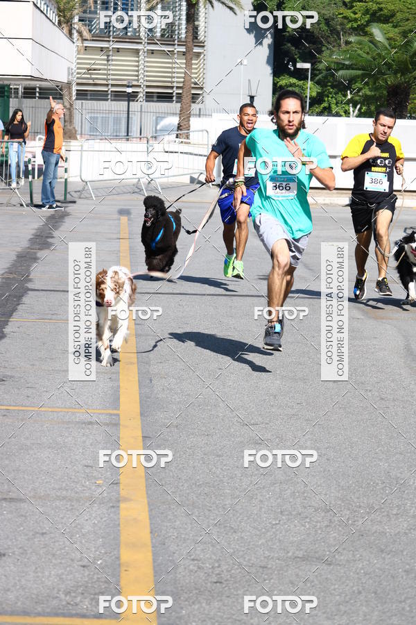 Buy your photos of the event2 Pet Run Shopping Eldorado  on Fotop