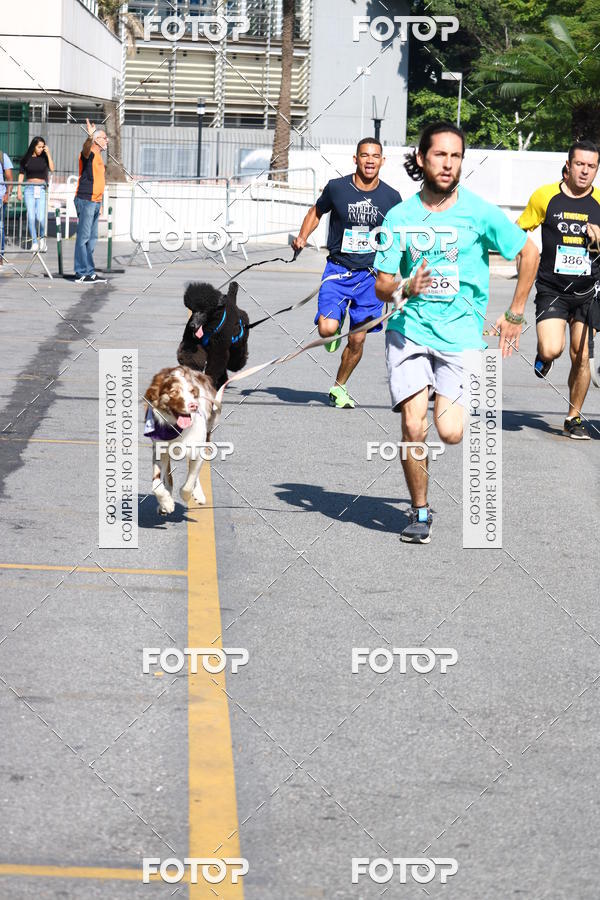 Buy your photos of the event2 Pet Run Shopping Eldorado  on Fotop