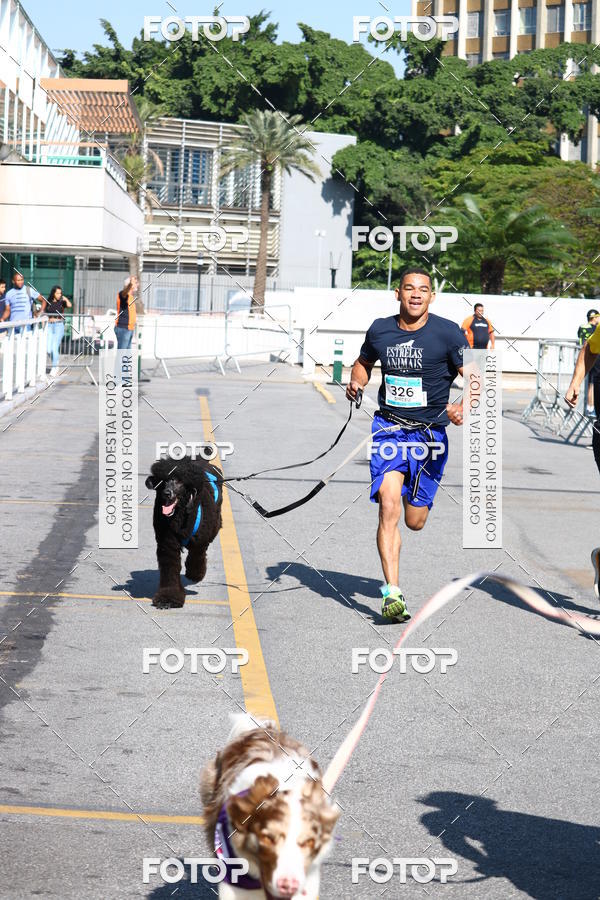 Buy your photos of the event2 Pet Run Shopping Eldorado  on Fotop