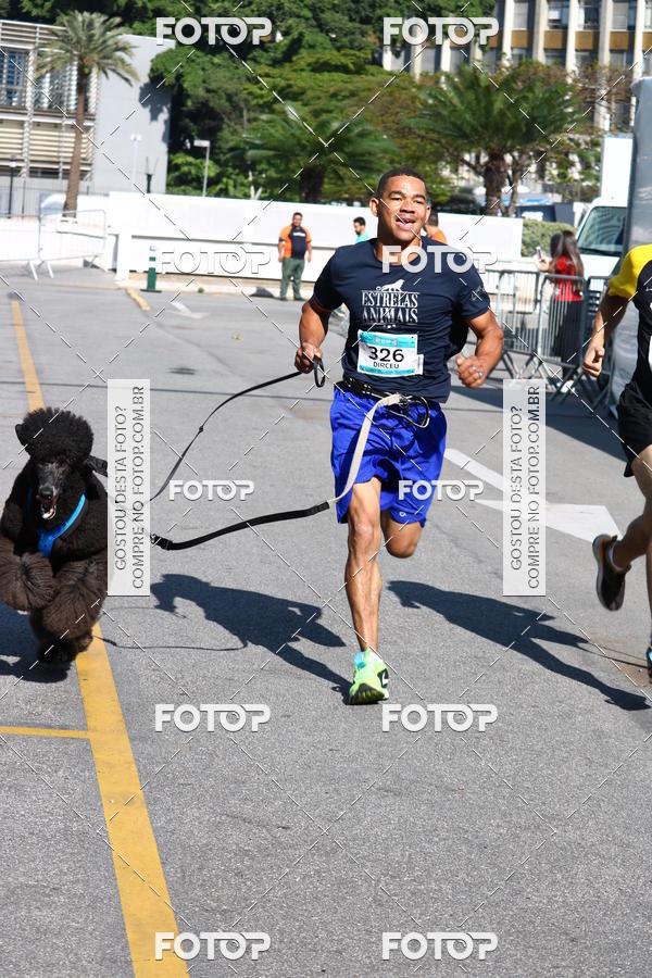 Buy your photos of the event2 Pet Run Shopping Eldorado  on Fotop