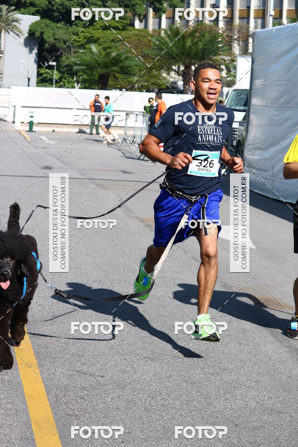 Buy your photos of the event2 Pet Run Shopping Eldorado  on Fotop