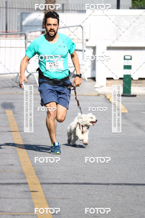 Buy your photos of the event2 Pet Run Shopping Eldorado  on Fotop