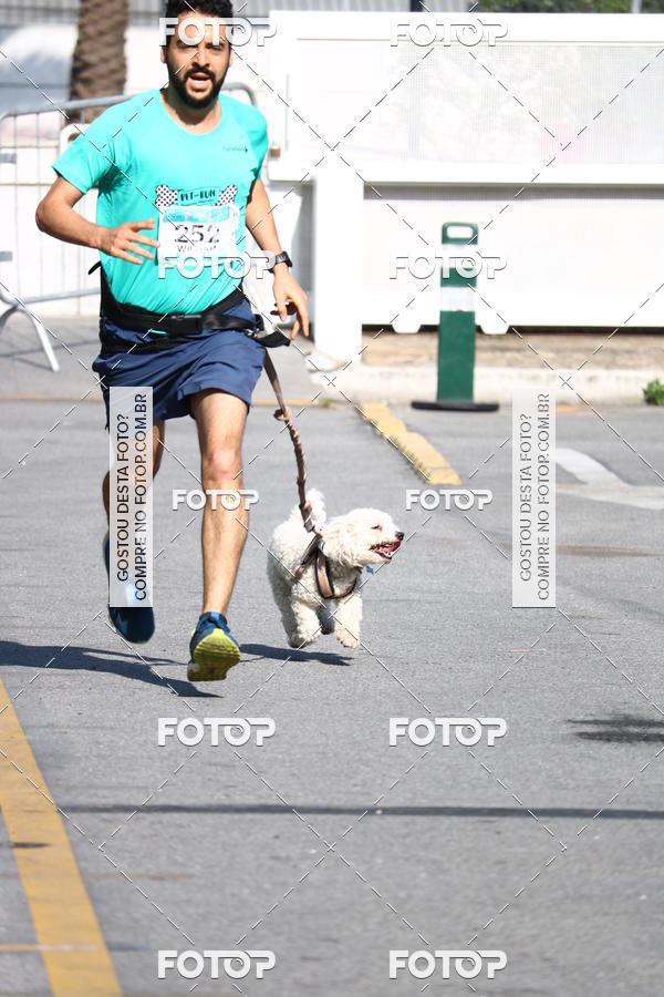 Buy your photos of the event2 Pet Run Shopping Eldorado  on Fotop