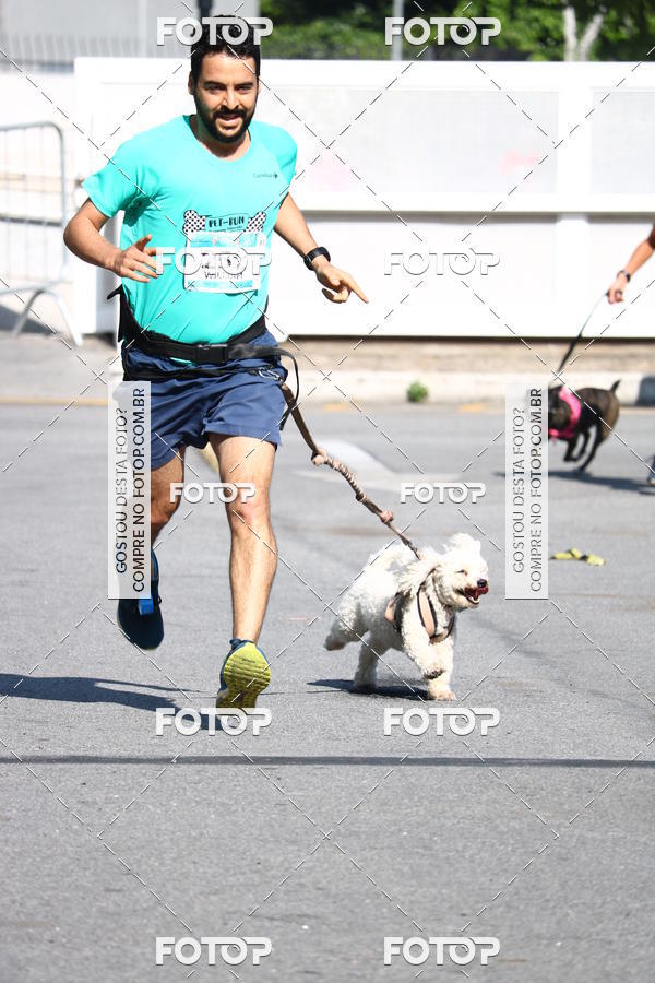 Buy your photos of the event2 Pet Run Shopping Eldorado  on Fotop