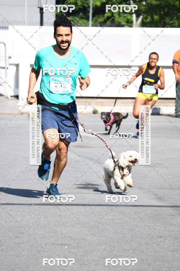 Buy your photos of the event2 Pet Run Shopping Eldorado  on Fotop