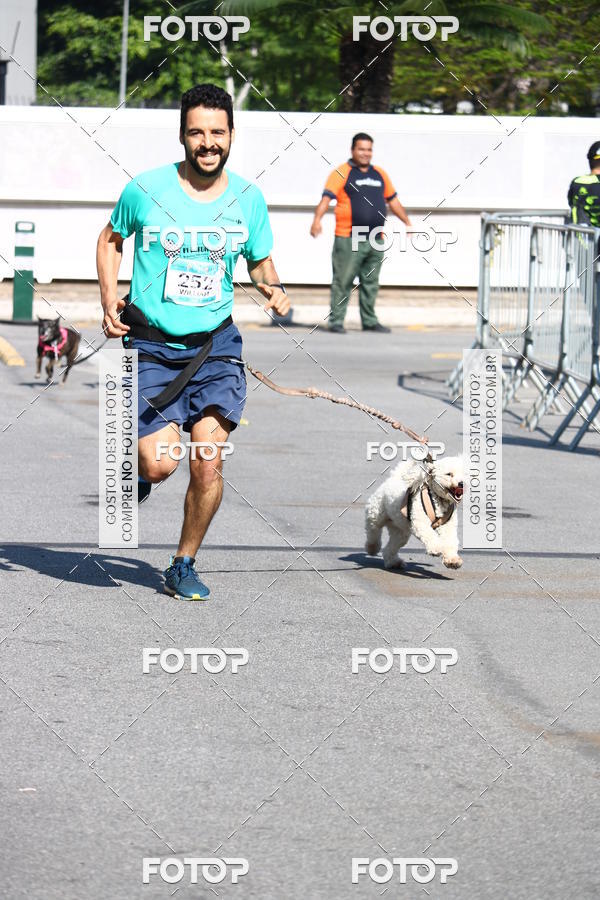 Buy your photos of the event2 Pet Run Shopping Eldorado  on Fotop