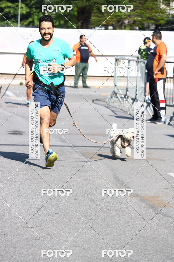 Buy your photos of the event2 Pet Run Shopping Eldorado  on Fotop