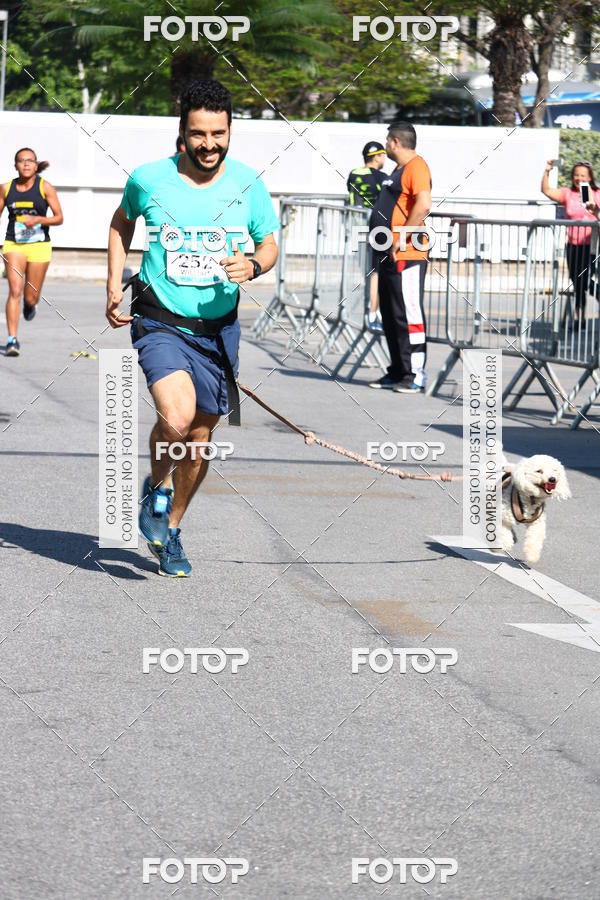 Buy your photos of the event2 Pet Run Shopping Eldorado  on Fotop