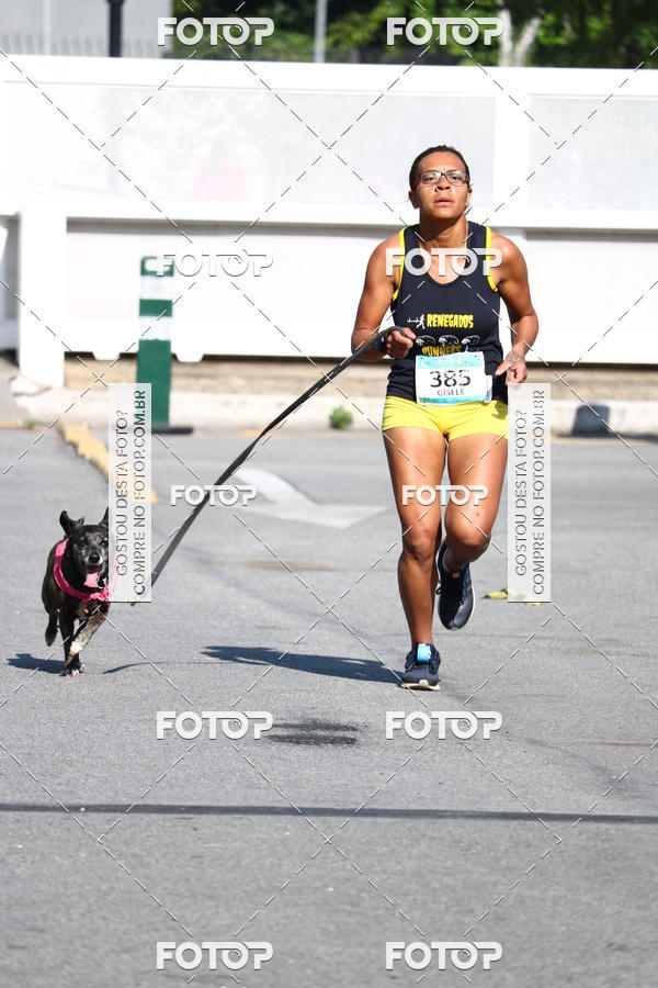 Buy your photos of the event2 Pet Run Shopping Eldorado  on Fotop