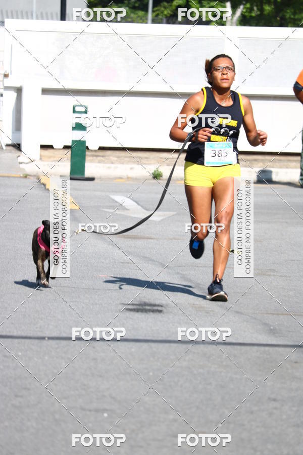 Buy your photos of the event2 Pet Run Shopping Eldorado  on Fotop