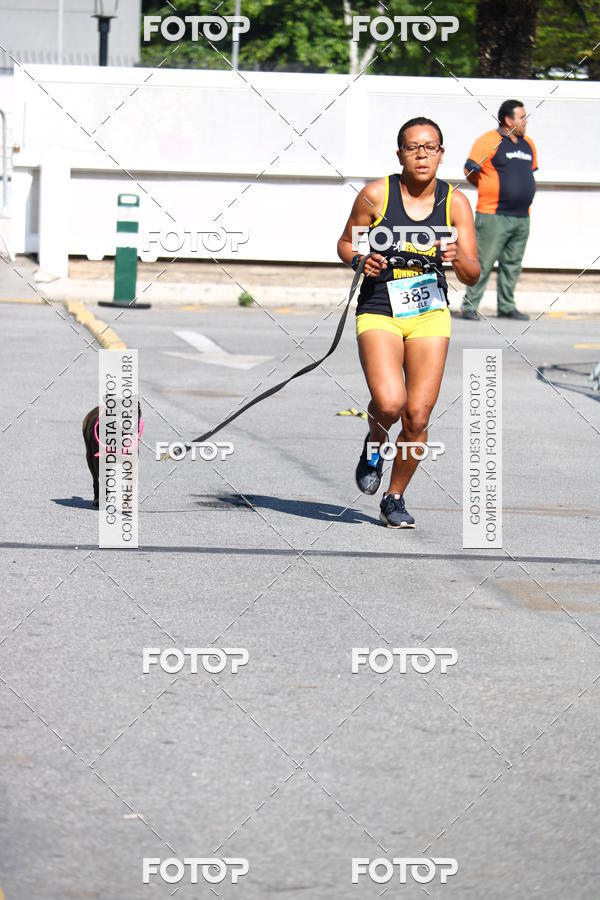 Buy your photos of the event2 Pet Run Shopping Eldorado  on Fotop