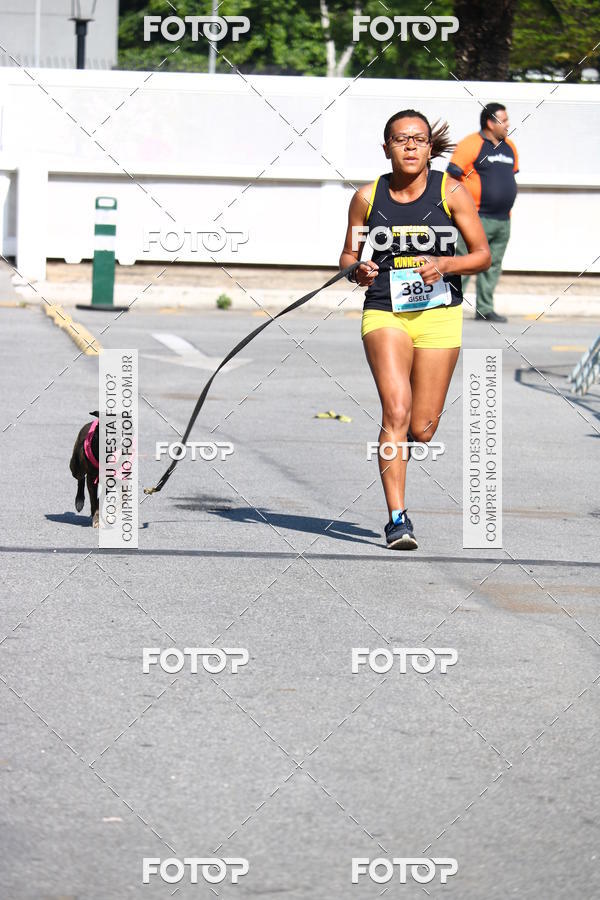 Buy your photos of the event2 Pet Run Shopping Eldorado  on Fotop