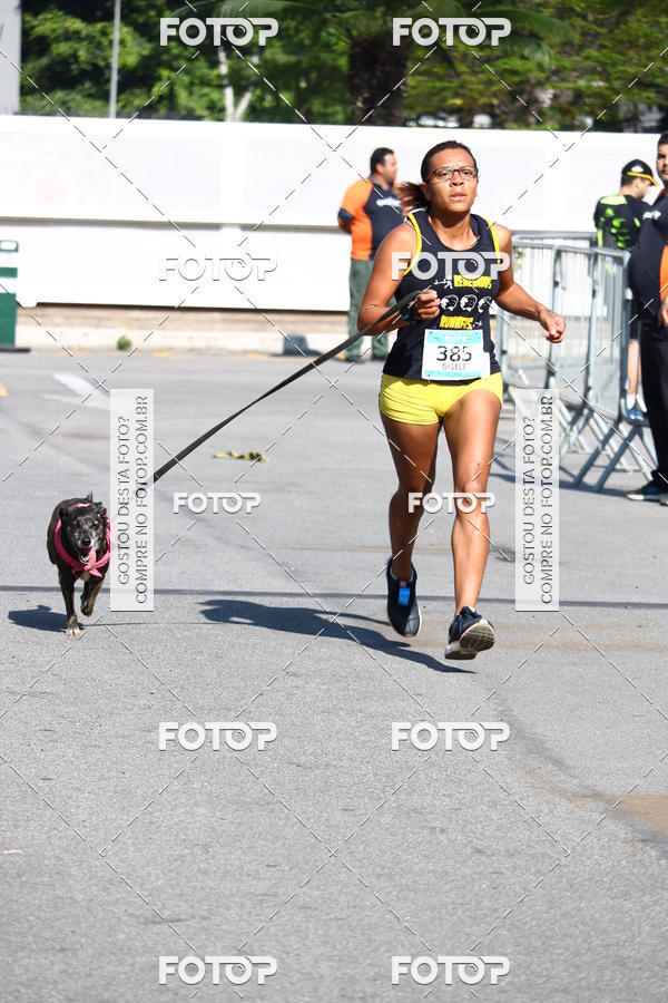 Buy your photos of the event2 Pet Run Shopping Eldorado  on Fotop