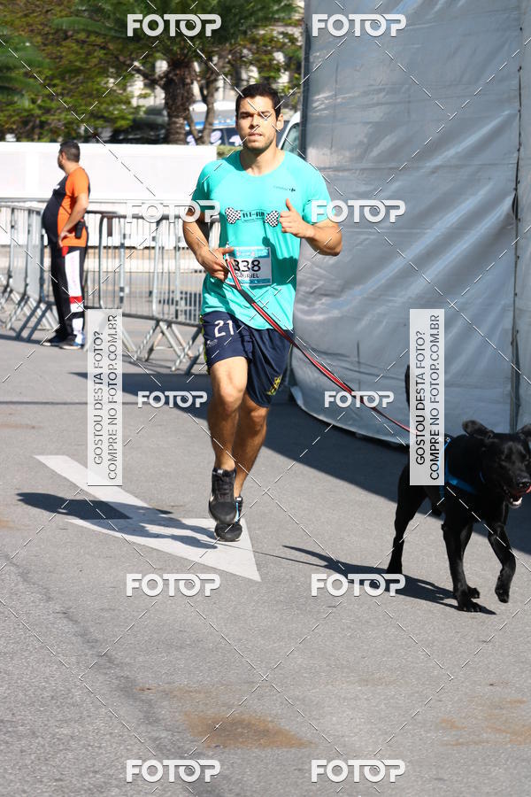 Buy your photos of the event2 Pet Run Shopping Eldorado  on Fotop