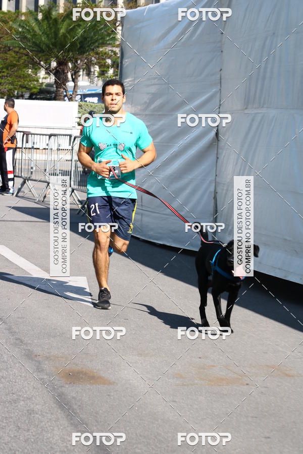 Buy your photos of the event2 Pet Run Shopping Eldorado  on Fotop
