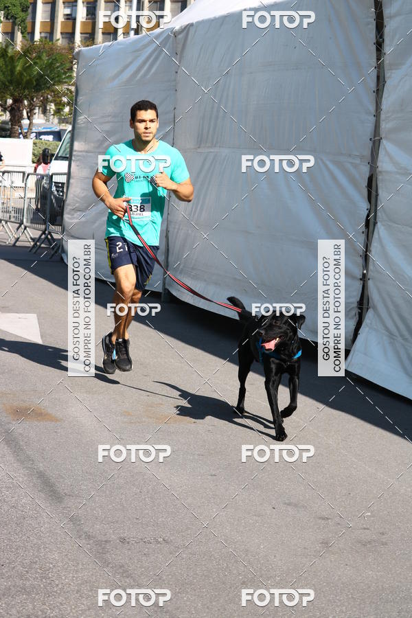 Buy your photos of the event2 Pet Run Shopping Eldorado  on Fotop
