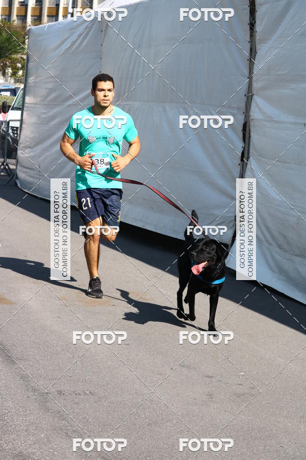 Buy your photos of the event2 Pet Run Shopping Eldorado  on Fotop