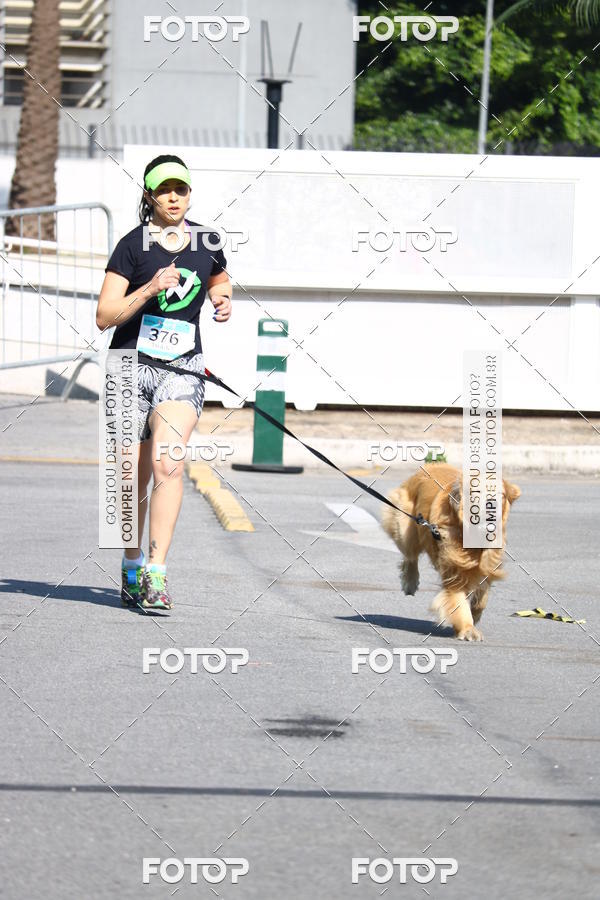 Buy your photos of the event2 Pet Run Shopping Eldorado  on Fotop
