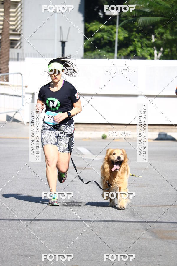 Buy your photos of the event2 Pet Run Shopping Eldorado  on Fotop