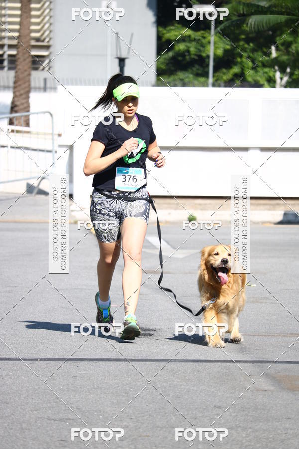 Buy your photos of the event2� Pet Run Shopping Eldorado  on Fotop
