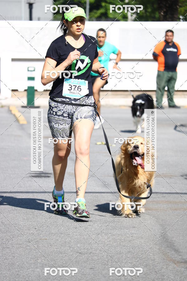 Buy your photos of the event2 Pet Run Shopping Eldorado  on Fotop