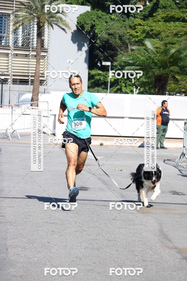 Buy your photos of the event2� Pet Run Shopping Eldorado  on Fotop