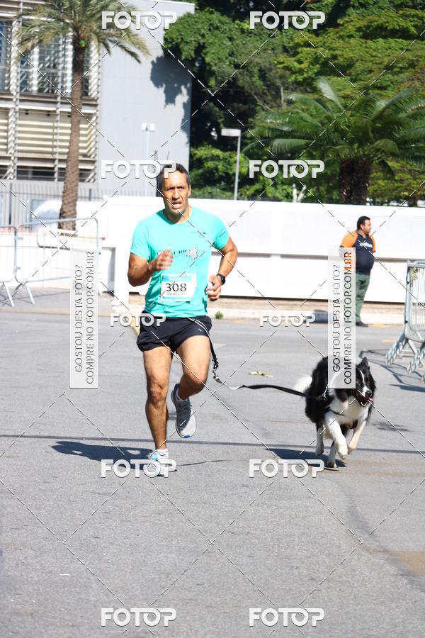 Buy your photos of the event2 Pet Run Shopping Eldorado  on Fotop